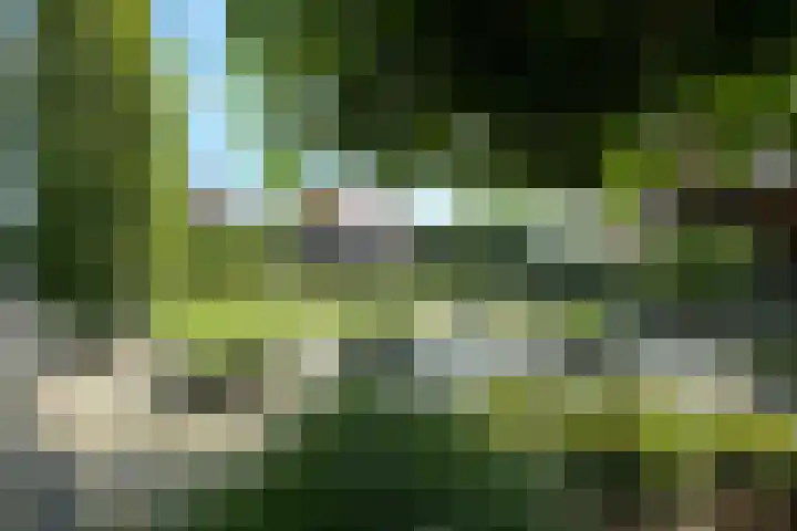 Willem Mantelstraat 39 Coevorden thumbnail 20