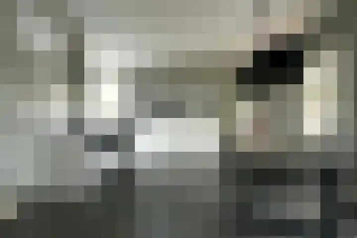 Willem Mantelstraat 39 Coevorden thumbnail 5