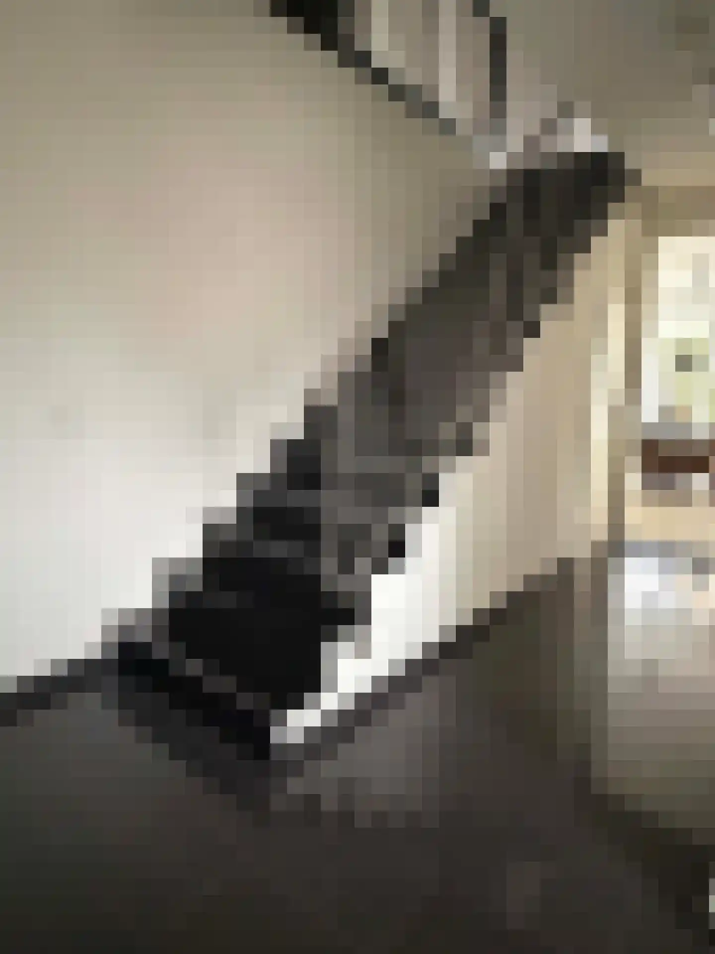 Willem Mantelstraat 43 Coevorden thumbnail 42