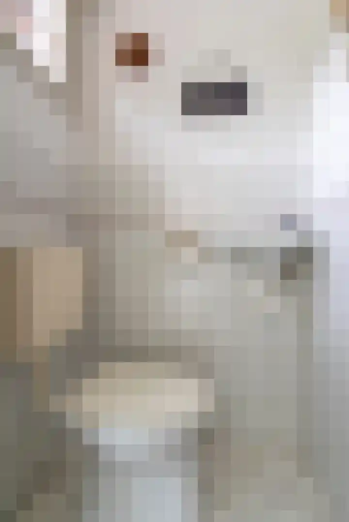 Willem Marislaan 10 Ede thumbnail 11