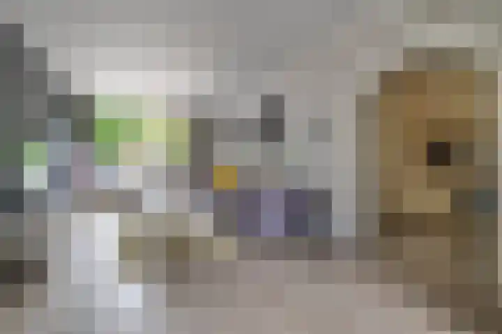 Willem Marislaan 10 Ede thumbnail 4