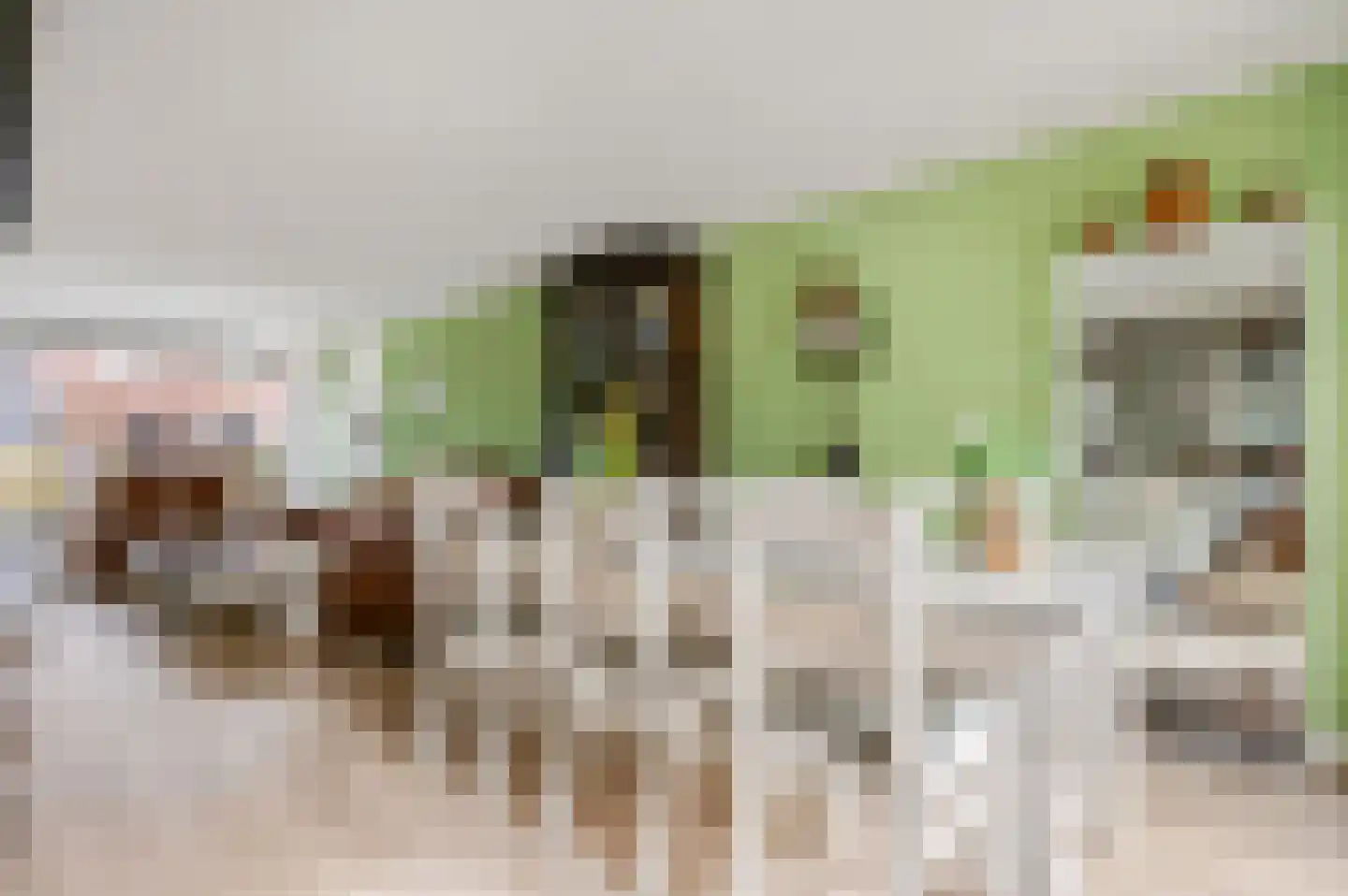 Willem Marislaan 11 Ede thumbnail 10