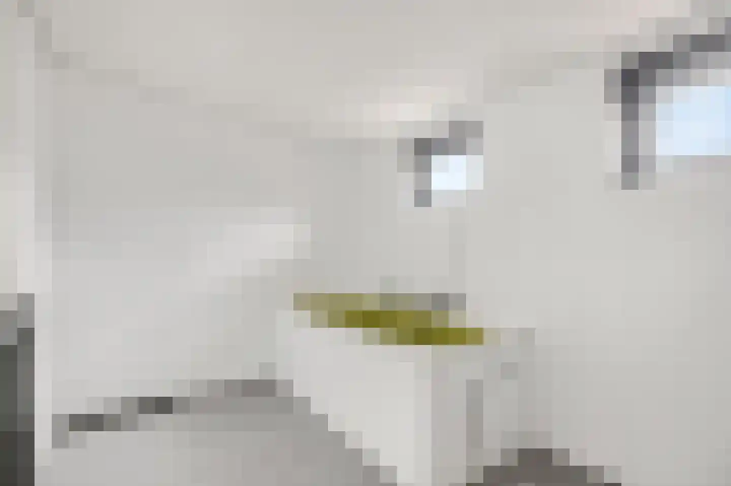 Willem Marislaan 11 Ede thumbnail 21