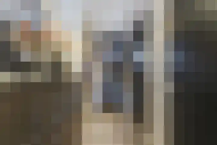 Willem Marislaan 24 Raamsdonksveer thumbnail 10