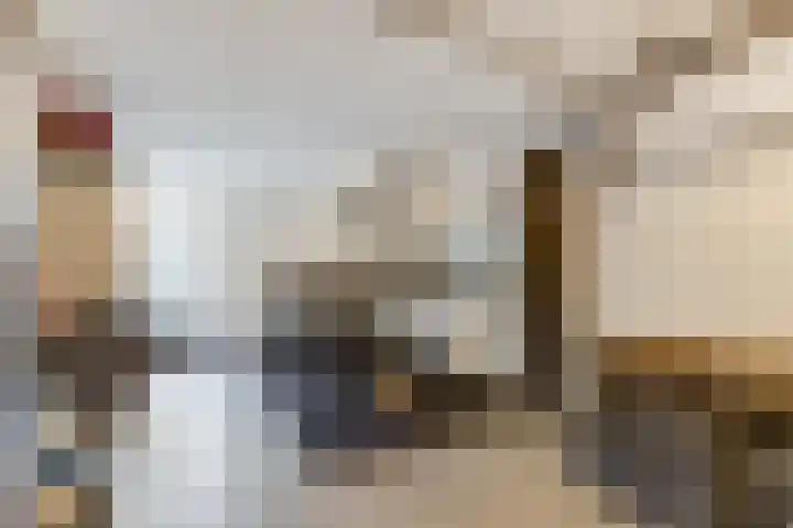 Willem Marislaan 24 Raamsdonksveer thumbnail 12