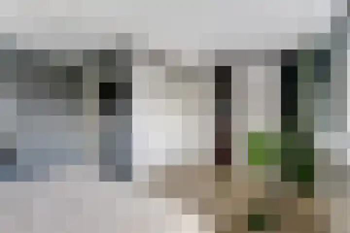 Willem Marislaan 24 Raamsdonksveer thumbnail 16