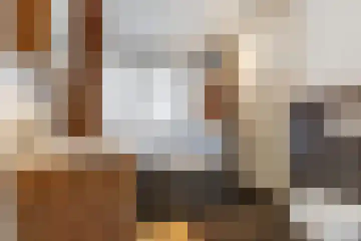 Willem Marislaan 24 Raamsdonksveer thumbnail 20