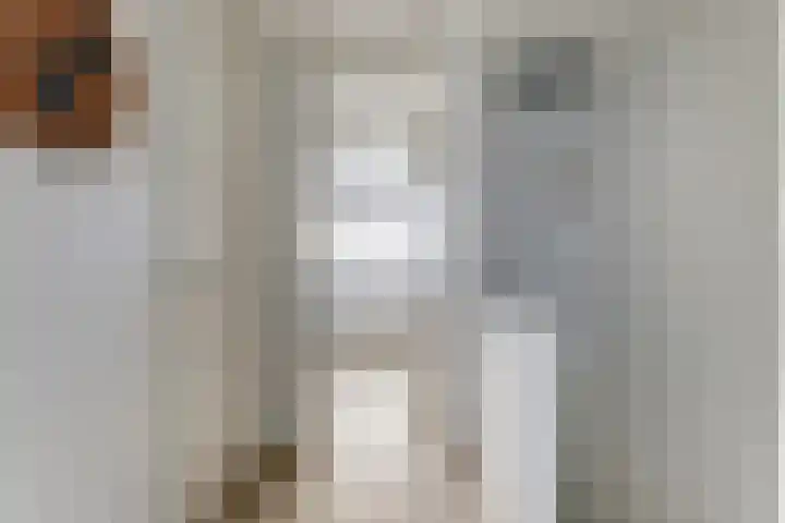 Willem Marislaan 24 Raamsdonksveer thumbnail 23