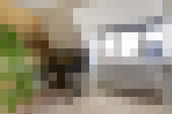Willem Marislaan 24 Raamsdonksveer thumbnail 25