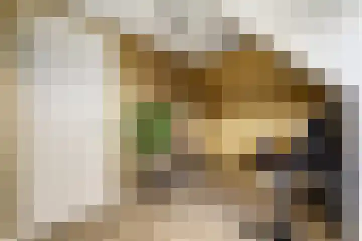 Willem Marislaan 24 Raamsdonksveer thumbnail 27
