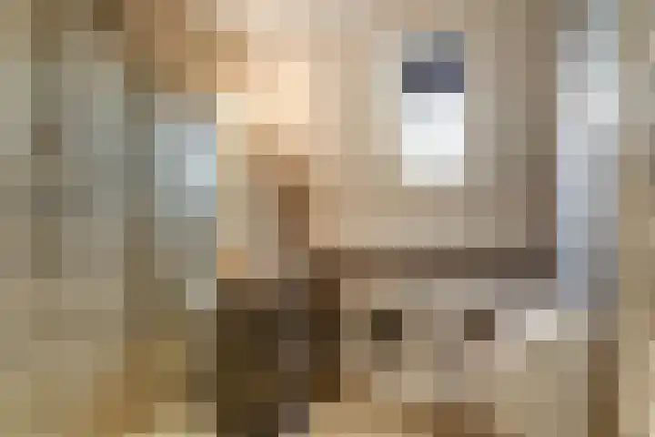 Willem Marislaan 24 Raamsdonksveer thumbnail 31