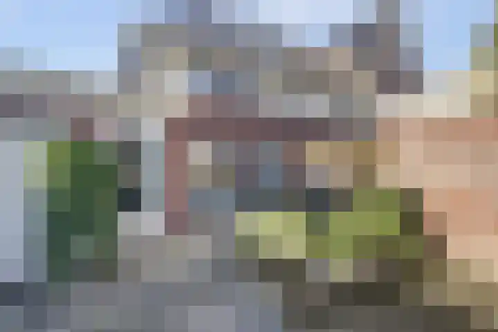 Willem Marislaan 24 Raamsdonksveer thumbnail 34