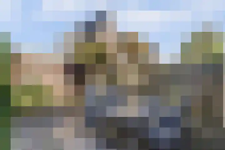 Willem Marislaan 24 Raamsdonksveer thumbnail 36