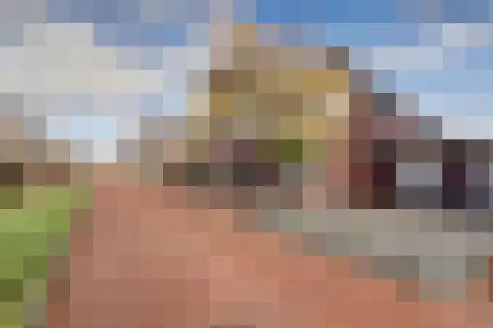 Willem Marislaan 24 Raamsdonksveer thumbnail 38