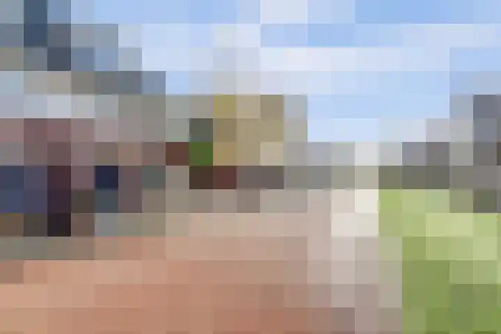 Willem Marislaan 24 Raamsdonksveer thumbnail 39