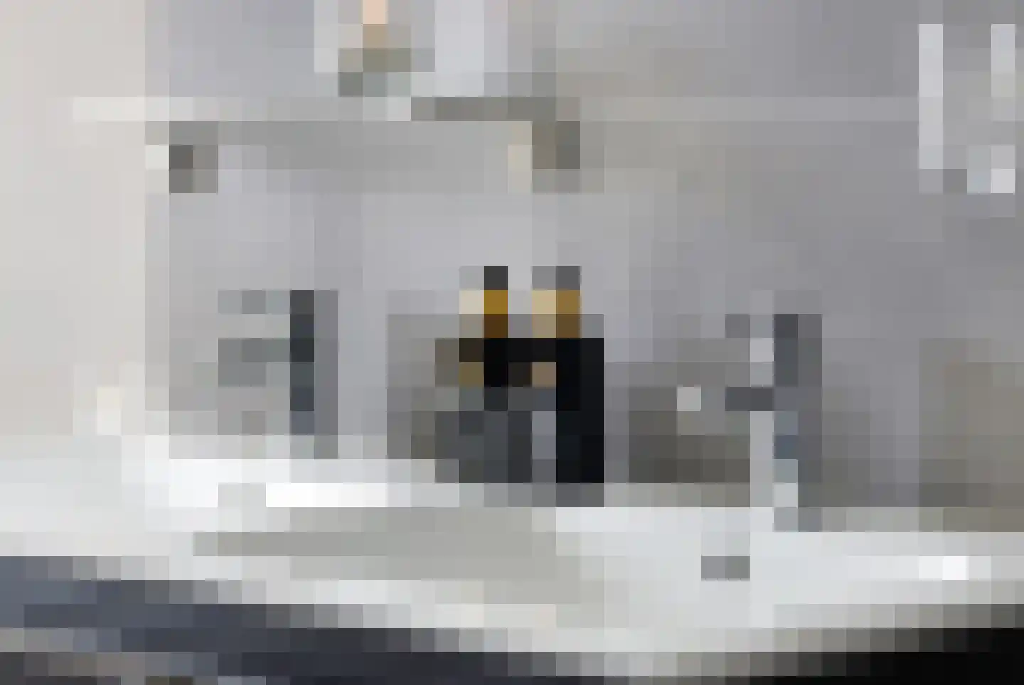 Willem Marislaan 7 Ede thumbnail 35
