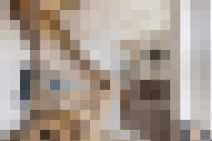 Willem Marislaan 7 Ede thumbnail 39