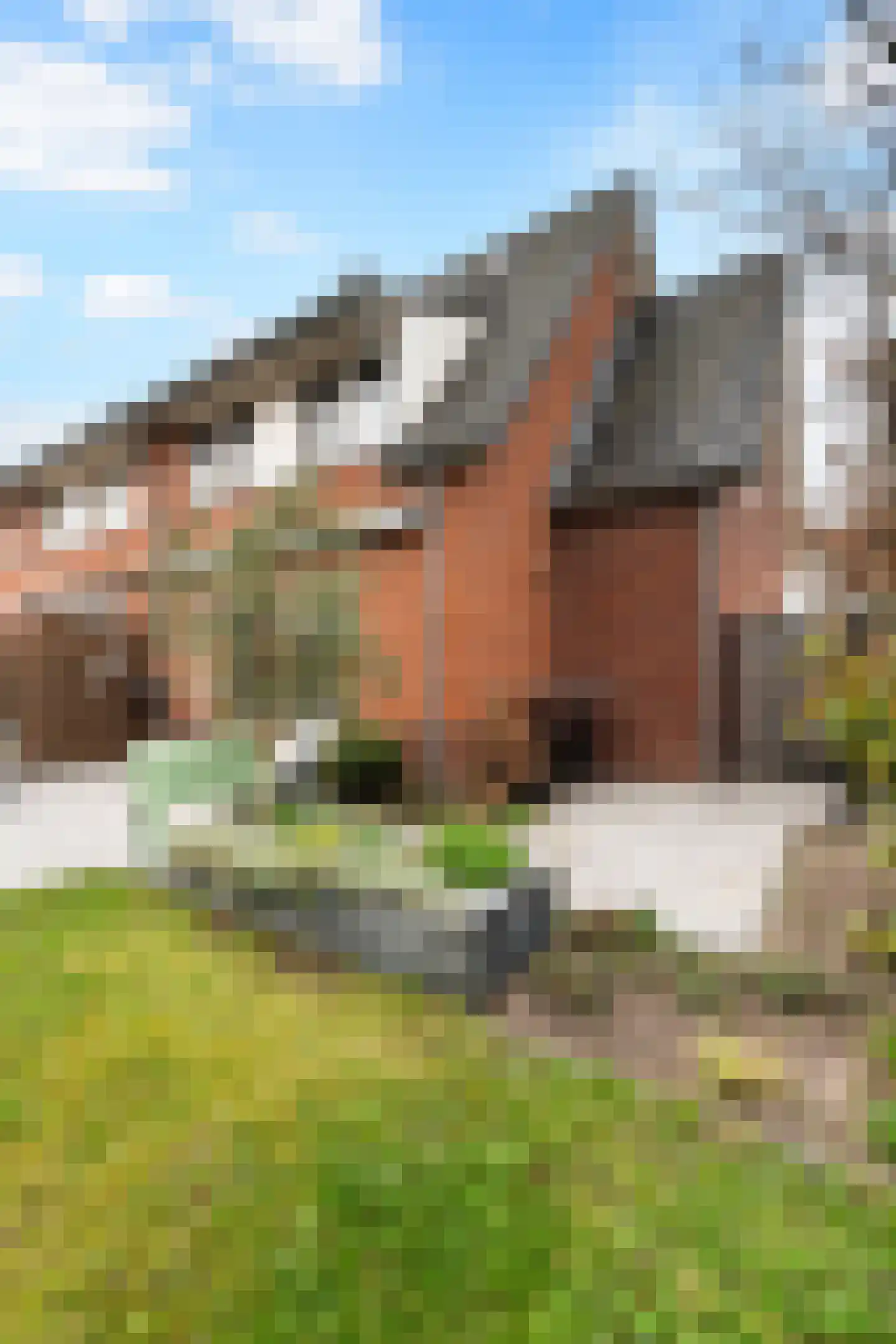 Willem Marisstraat 22 Dordrecht thumbnail 53