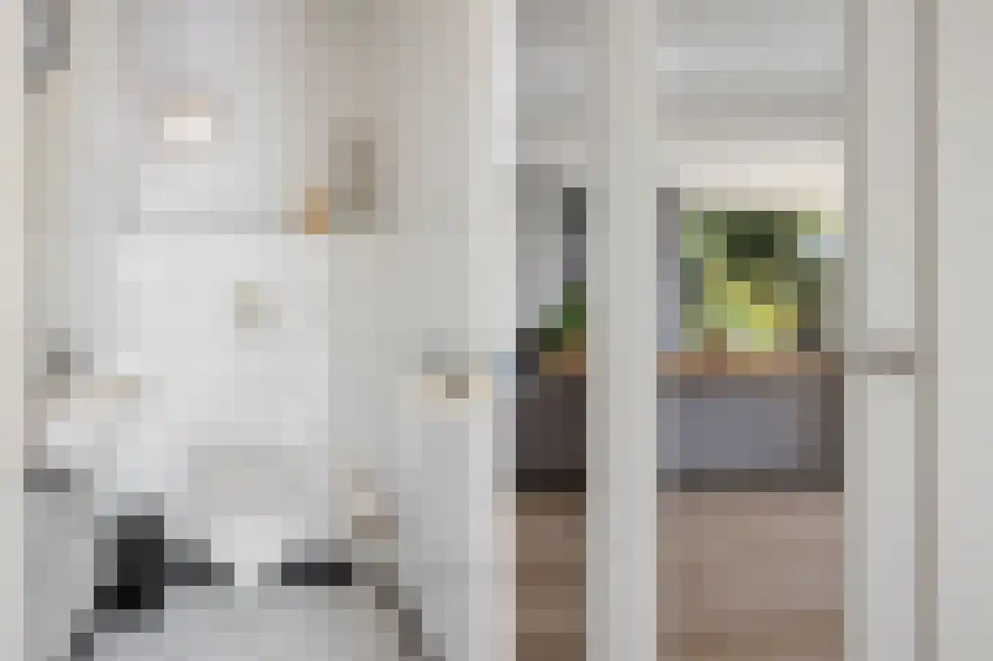 Willem Marisstraat 3 Waalwijk thumbnail 13