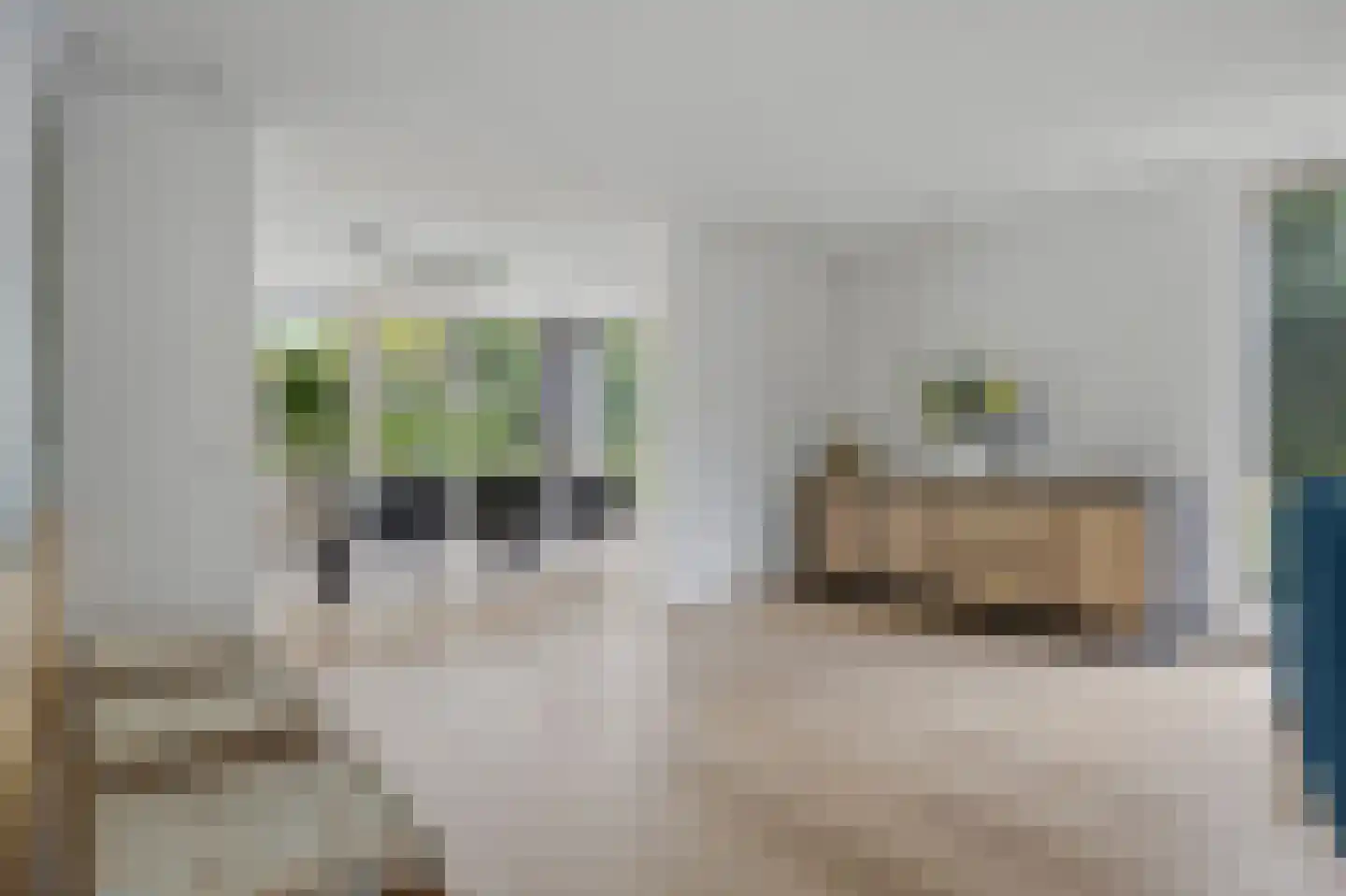 Willem Marisstraat 3 Waalwijk thumbnail 20
