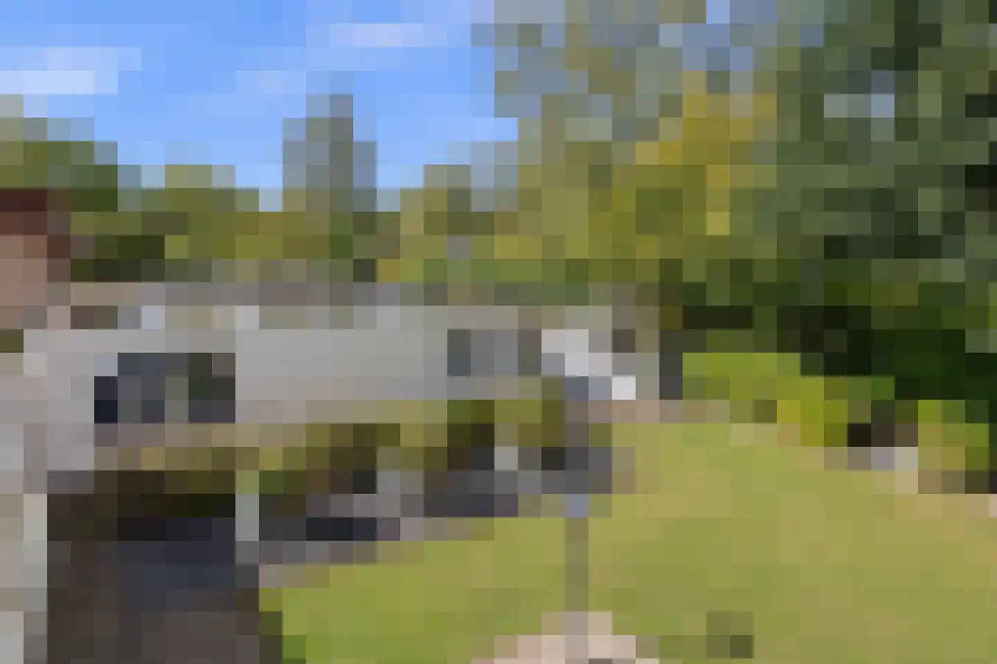 Willem Marisstraat 3 Waalwijk thumbnail 28