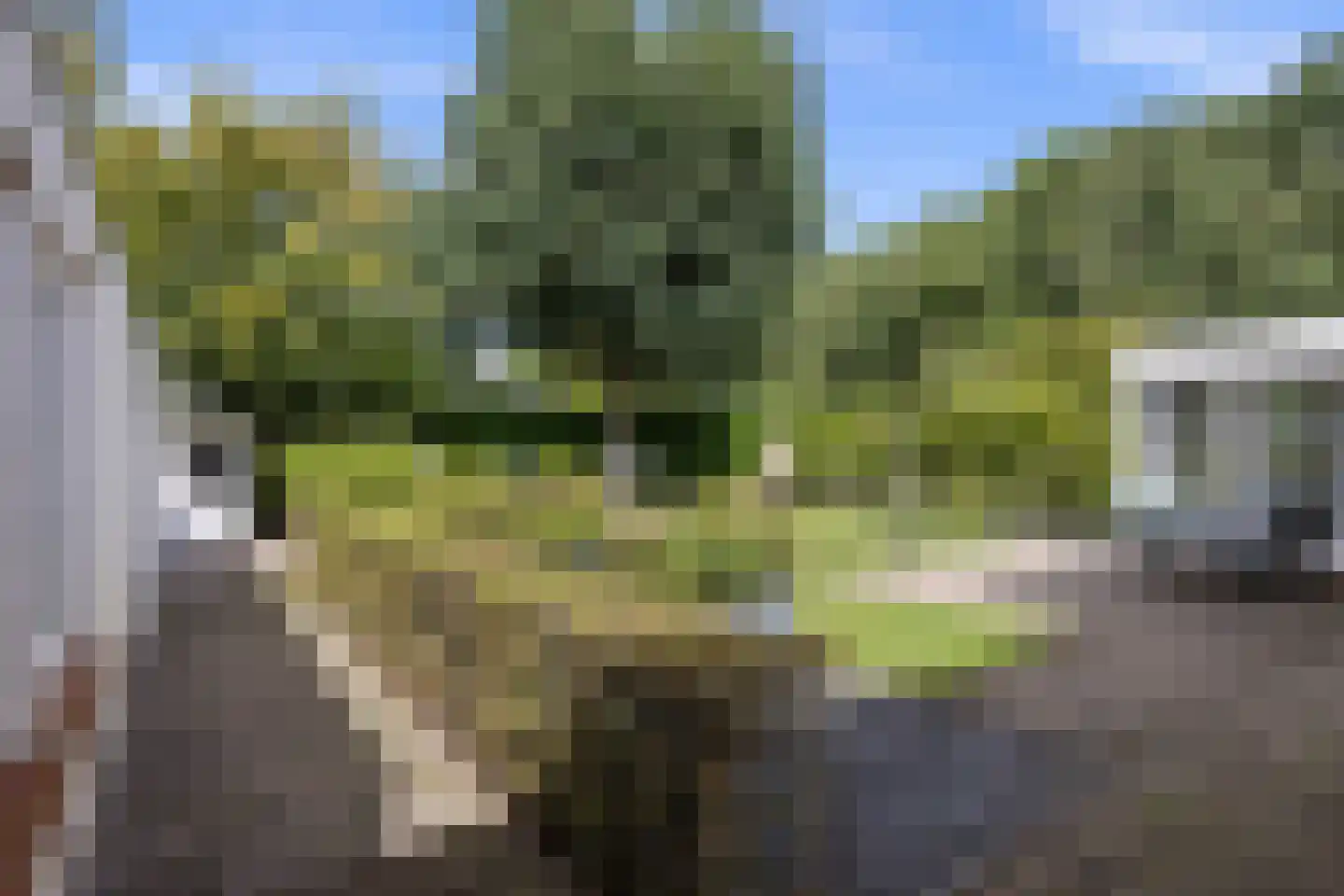 Willem Marisstraat 3 Waalwijk thumbnail 30