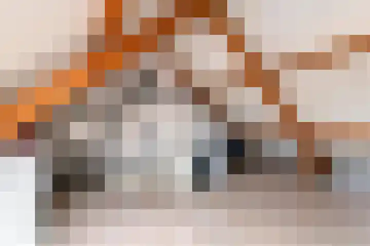 Willem Marisstraat 64 Tiel thumbnail 32