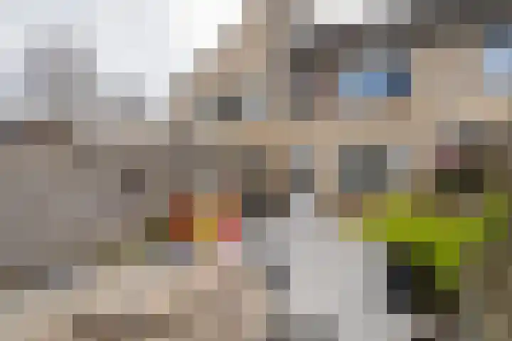 Willem Marisstraat 64 Tiel thumbnail 36