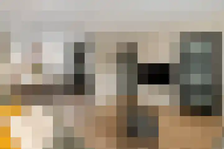 Willem Marisstraat 64 Tiel thumbnail 8