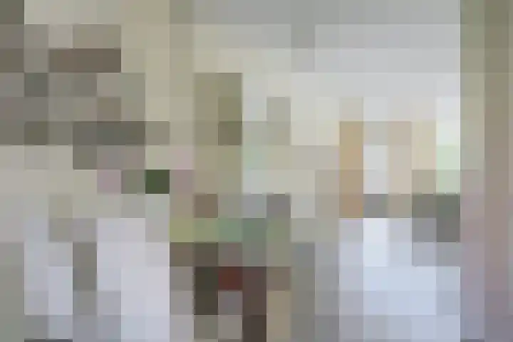 Willem Mertenspad 8 Amersfoort thumbnail 16
