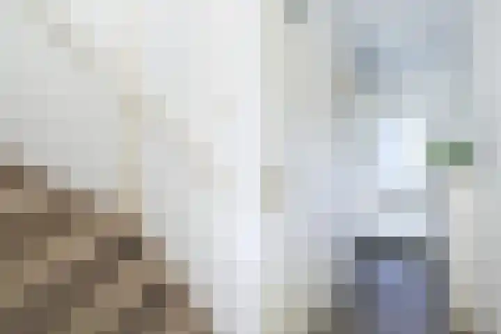 Willem Mertenspad 8 Amersfoort thumbnail 17