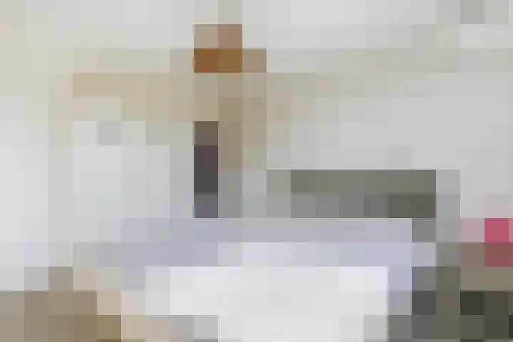 Willem Mertenspad 8 Amersfoort thumbnail 21