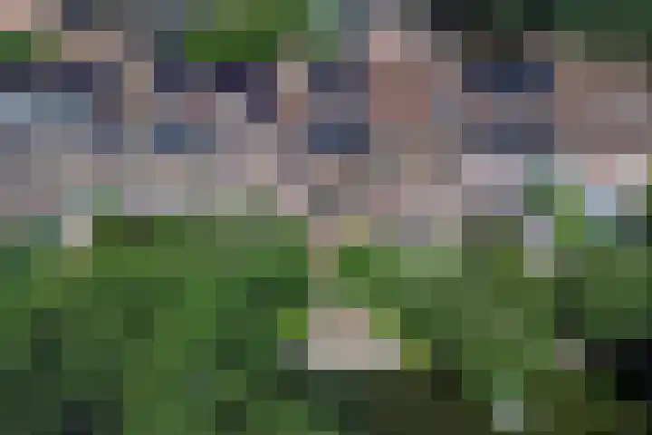 Willem Mertenspad 8 Amersfoort thumbnail 52