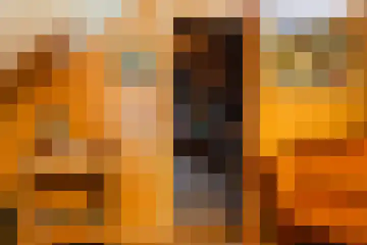 Willem Moesweg 25 Veeningen thumbnail 17