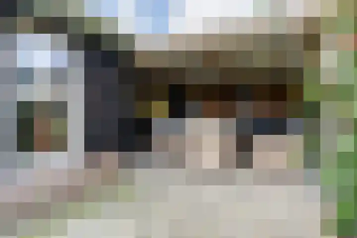 Willem Moesweg 25 Veeningen thumbnail 27