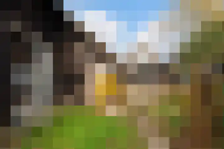 Willem Moesweg 25 Veeningen thumbnail 28