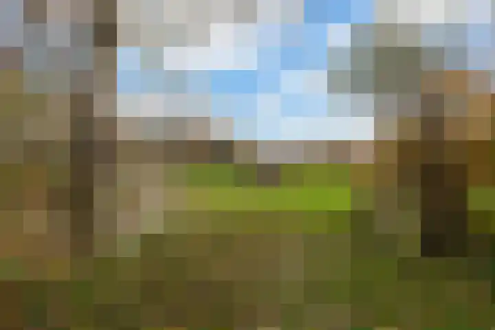 Willem Moesweg 25 Veeningen thumbnail 30