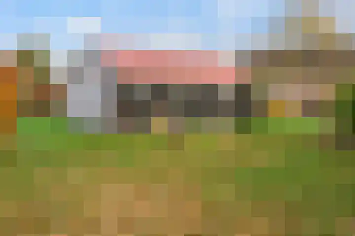 Willem Moesweg 25 Veeningen thumbnail 31