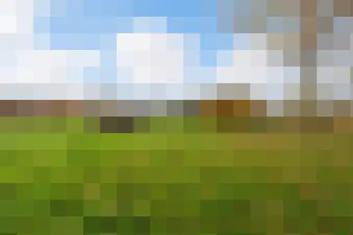 Willem Moesweg 25 Veeningen thumbnail 32