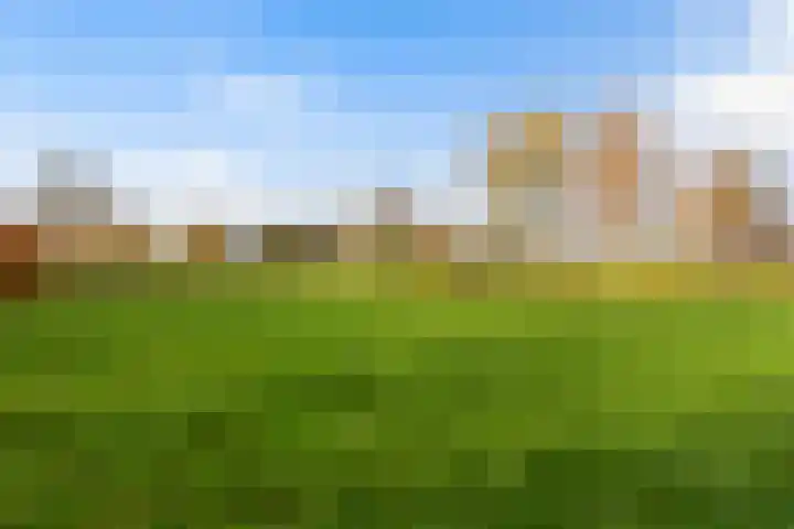 Willem Moesweg 25 Veeningen thumbnail 33