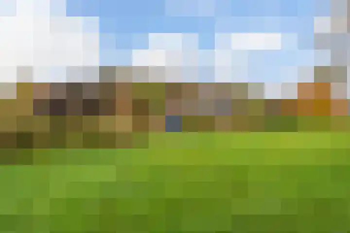 Willem Moesweg 25 Veeningen thumbnail 34