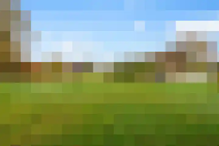 Willem Moesweg 25 Veeningen thumbnail 35