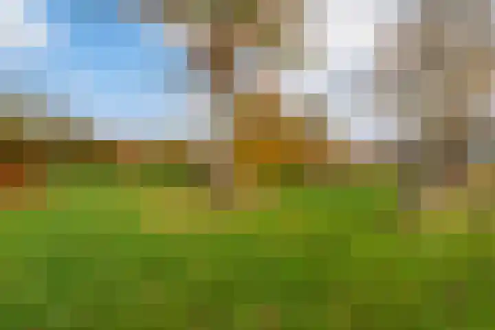 Willem Moesweg 25 Veeningen thumbnail 36