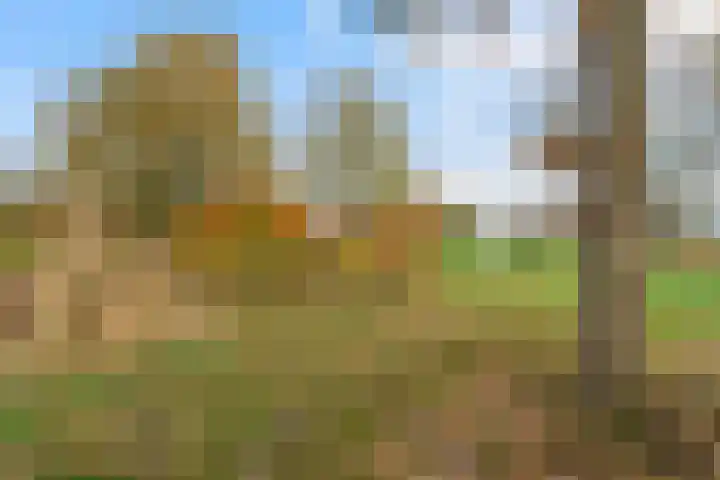 Willem Moesweg 25 Veeningen thumbnail 37