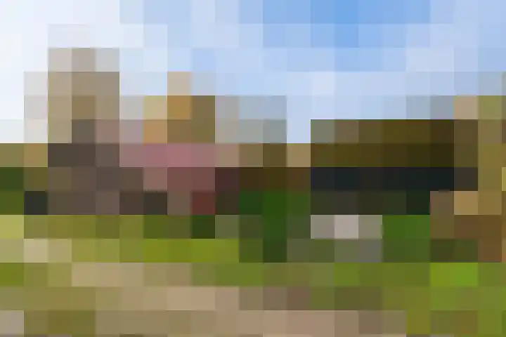 Willem Moesweg 25 Veeningen thumbnail 38