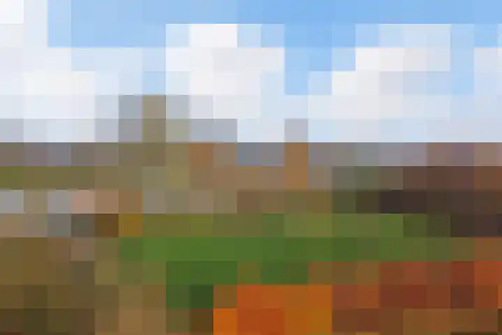 Willem Moesweg 25 Veeningen thumbnail 39