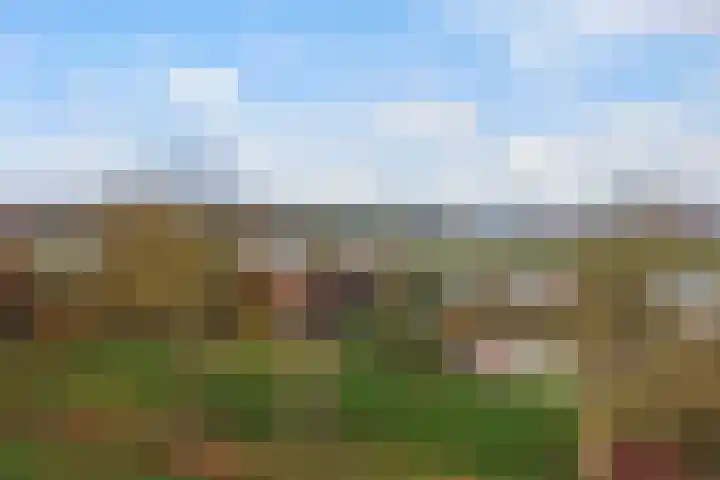 Willem Moesweg 25 Veeningen thumbnail 40