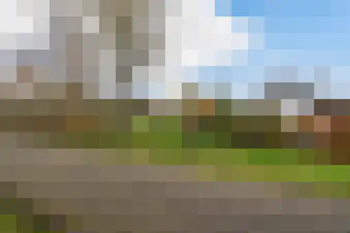 Willem Moesweg 25 Veeningen thumbnail 42