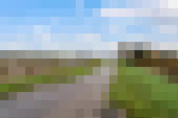 Willem Moesweg 25 Veeningen thumbnail 43