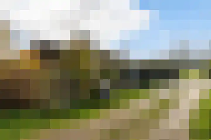 Willem Moesweg 25 Veeningen thumbnail 44